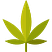 marijuana